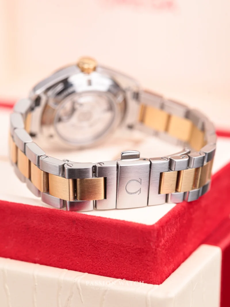 Đồng Hồ Omega Seamaster Aqua Terra 231.25.30.20.55.002 17 omega seamaster aqua terra 231 25 30 20 55 002 8